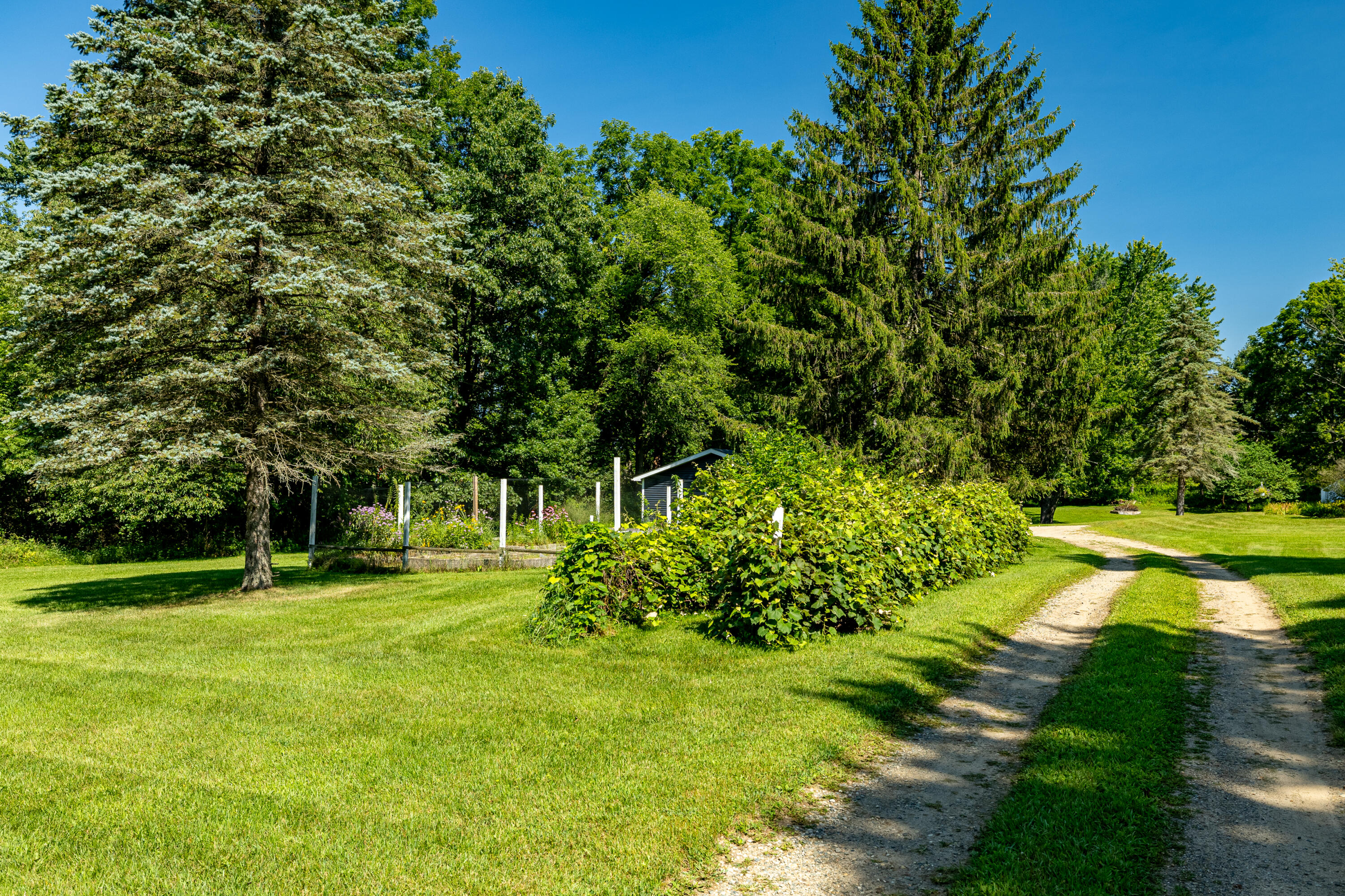 15450 Cassidy Road Chelsea, MI 48118 - Photo 54 of 72 15450 Cassidy Rd (39 of 59)