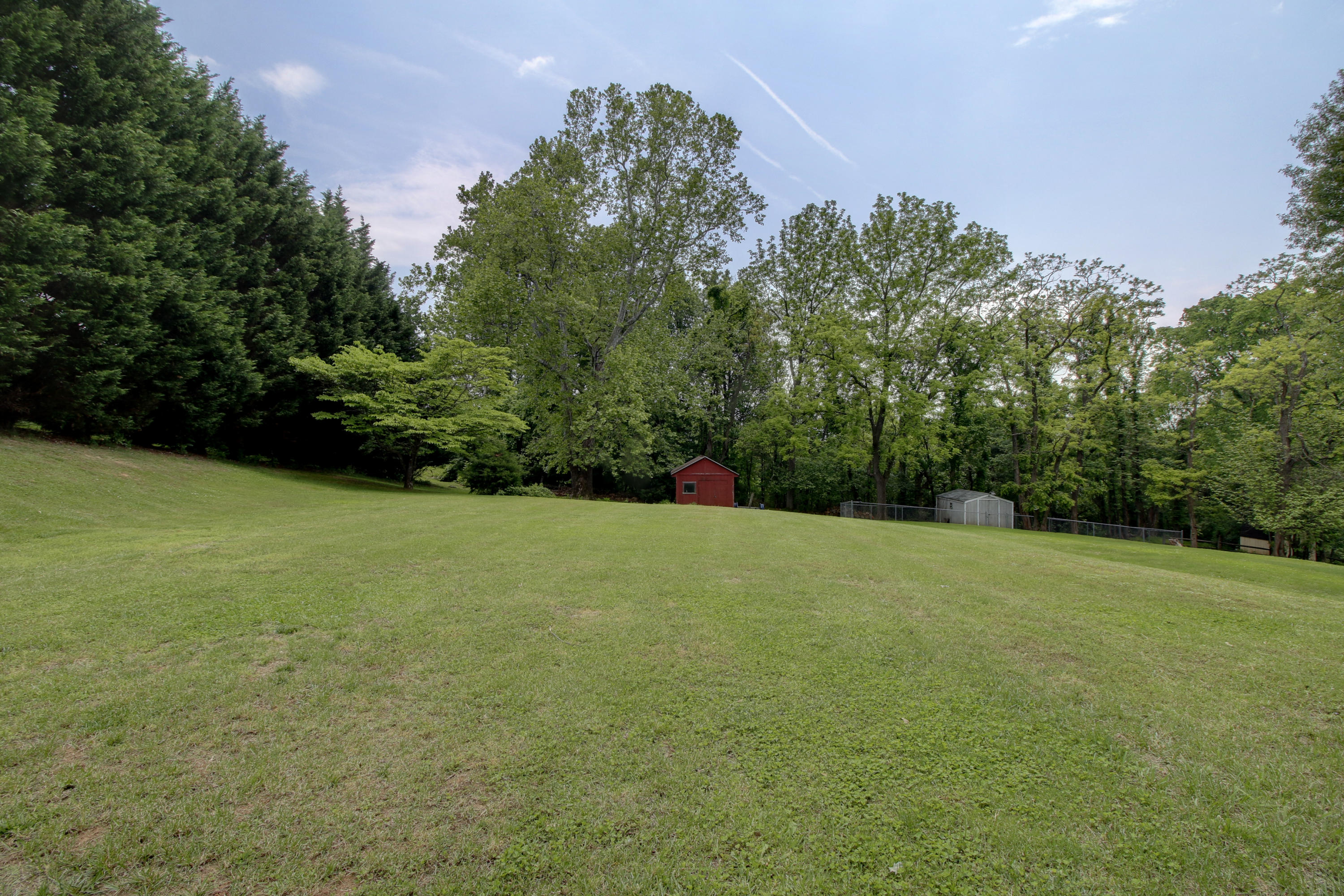 6704 Trevilian Road Roanoke, VA 24019 - Photo 43 of 46 a view of a field with an trees