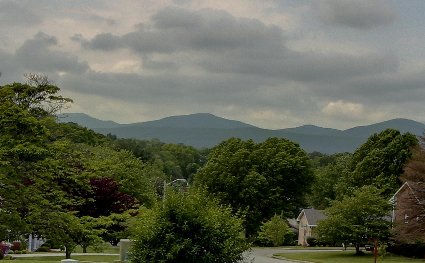 6704 Trevilian Road Roanoke, VA 24019 - Photo 6 of 46 a view of a city with lush green forest