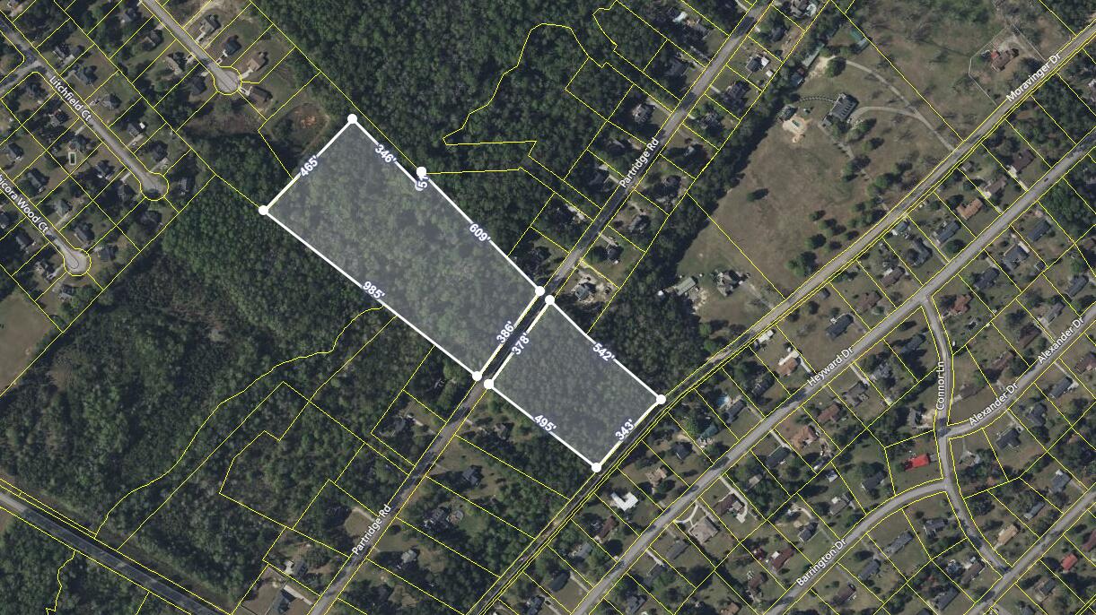 0 Partridge Road Orangeburg, SC 29118 - Photo 1 of 1 Screenshot (113)