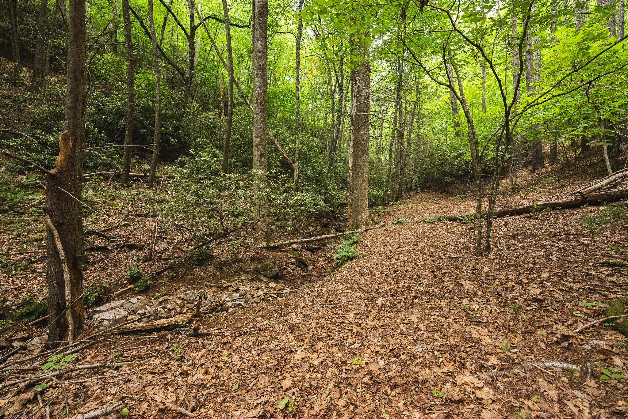 Tbd Macks Mountain Road Northwest Indian Valley, VA 24105 - Photo 27 of 45 DSC01610