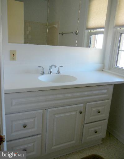 8413 Riverside Road Alexandria, VA 22308 - Photo 11 of 28 a bathroom with a sink and a mirror