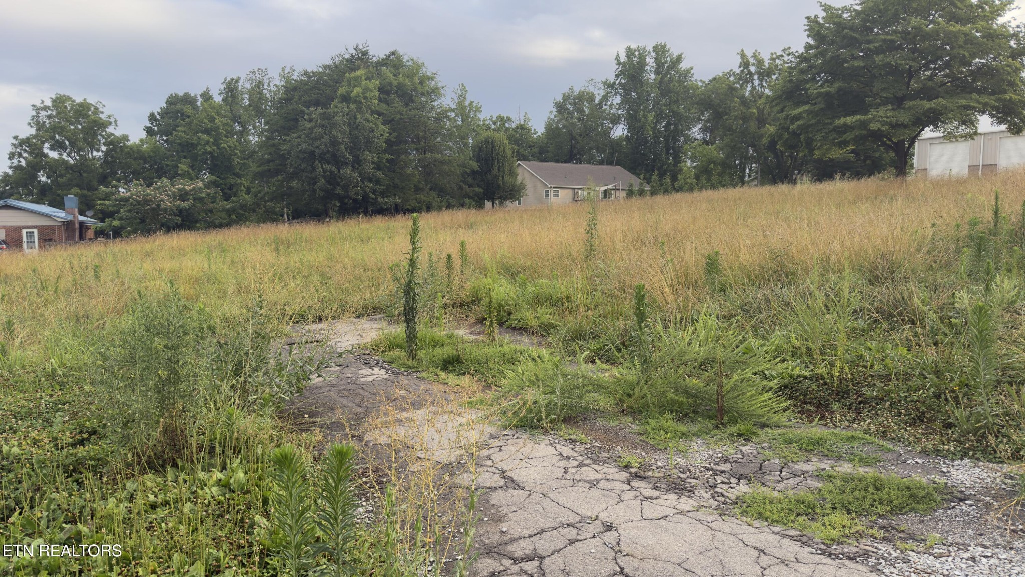 2662 Louisville Road Maryville, TN 37801 - Photo 60 of 60 a view of a yard