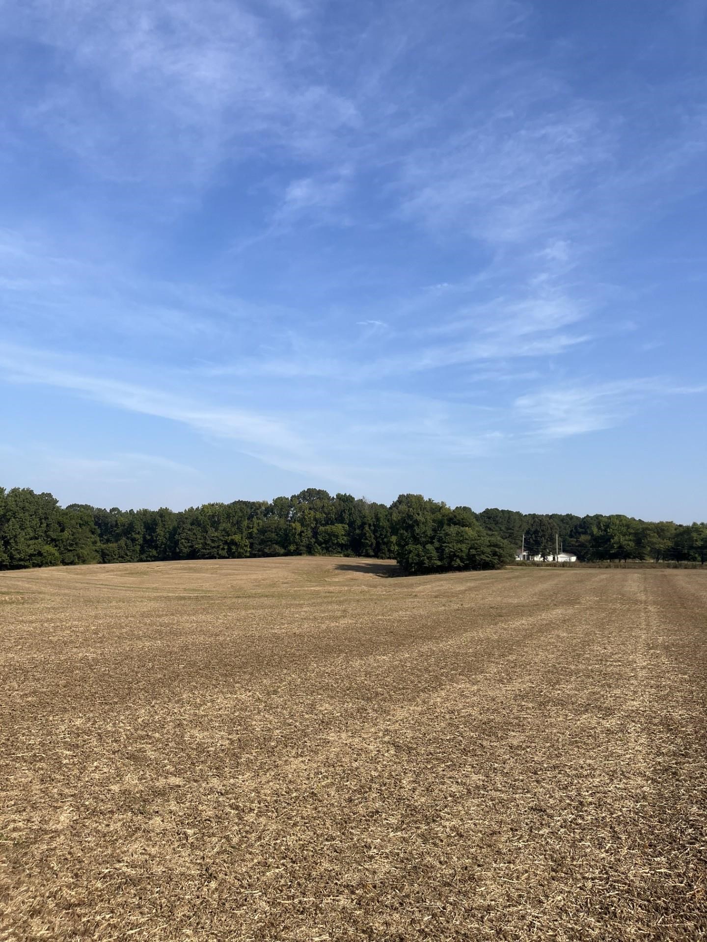 0 West Chambers Road Millington, TN 38053 - Photo 1 of 9 View of wooded area with a rural view
