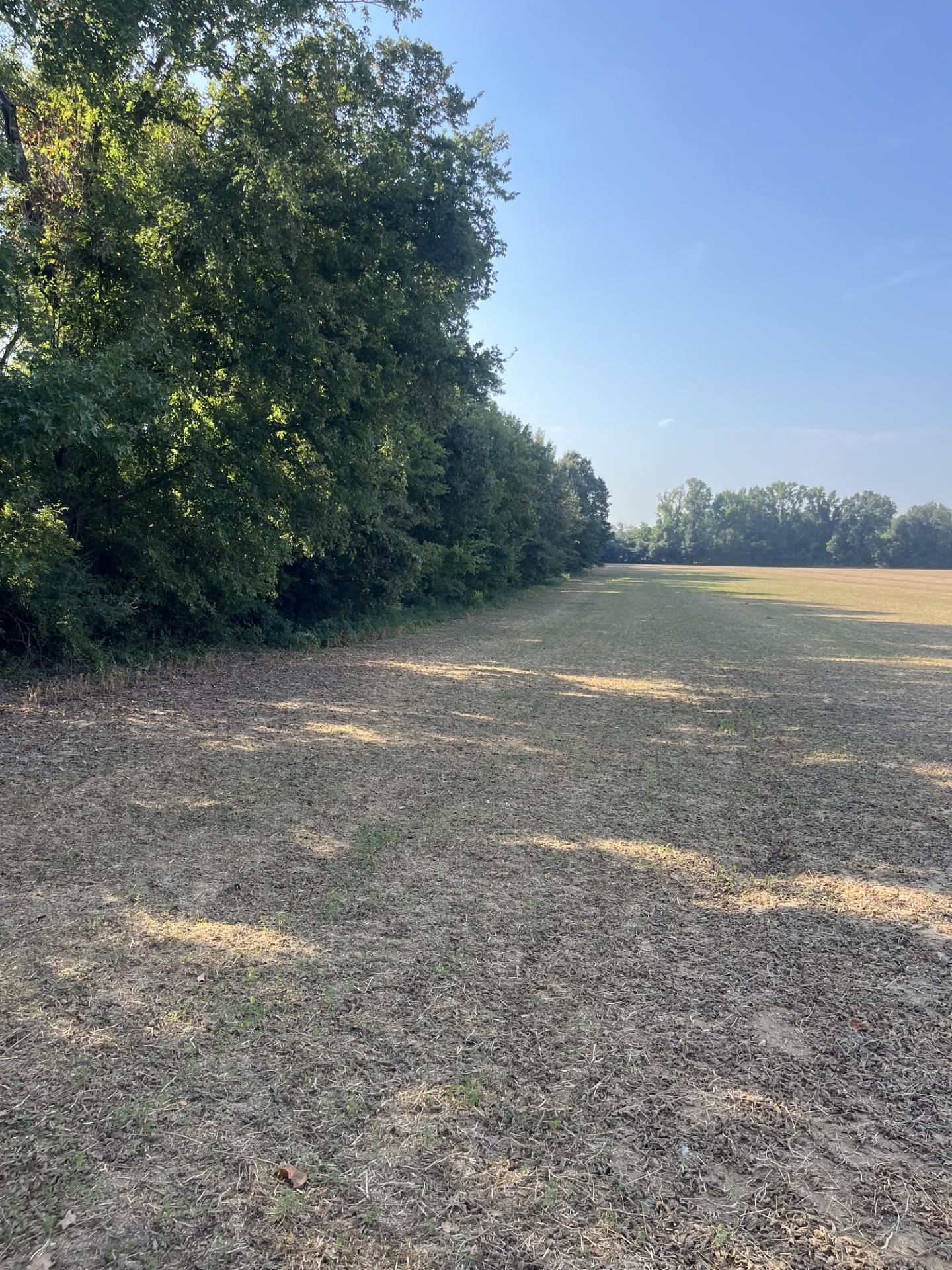 0 West Chambers Road Millington, TN 38053 - Photo 5 of 9 View of yard