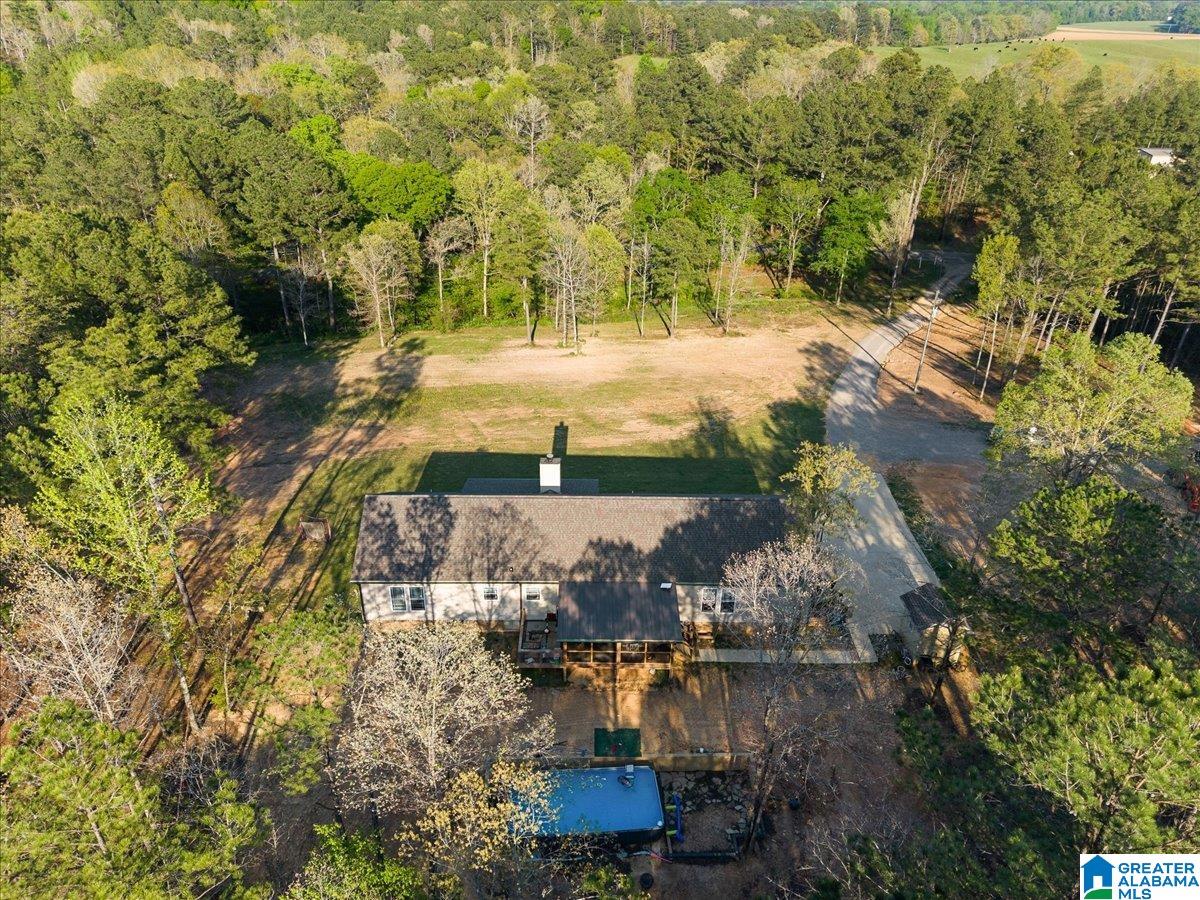 1009 Deaver Walker Road Trafford, AL 35172 - Photo 31 of 39