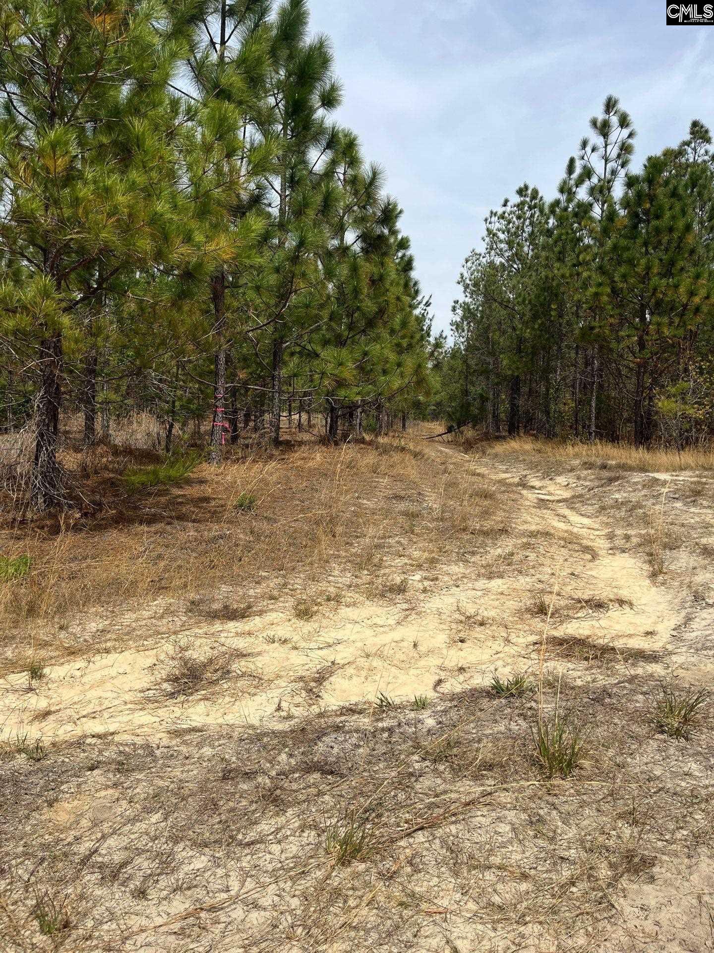 9 Beaver Dam Road Cassatt, SC 29032 - Photo 2 of 25