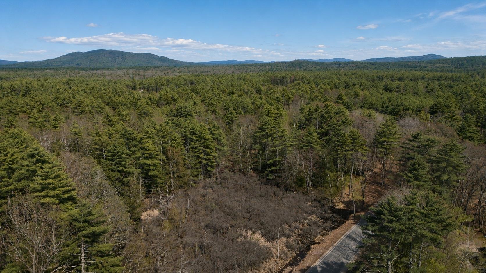 Lot 27.2 Dorrs Corner Road Ossipee, NH 03864 - Photo 7 of 9