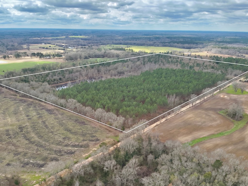 86-acres New Hinson Road Slocomb, AL 36375 - Photo 2 of 15
