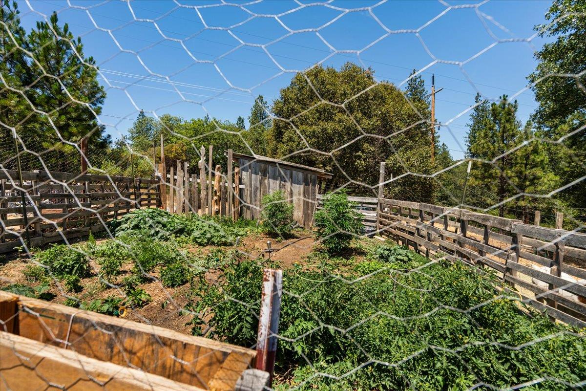 10985 Tyler Foote Road Nevada City, CA 95959 - Photo 2 of 27