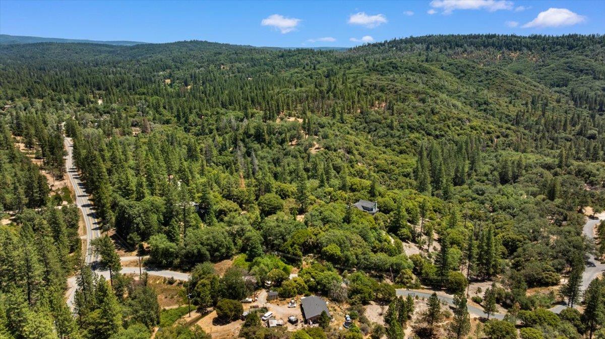 10985 Tyler Foote Road Nevada City, CA 95959 - Photo 26 of 27 a view of a green field with lots of bushes
