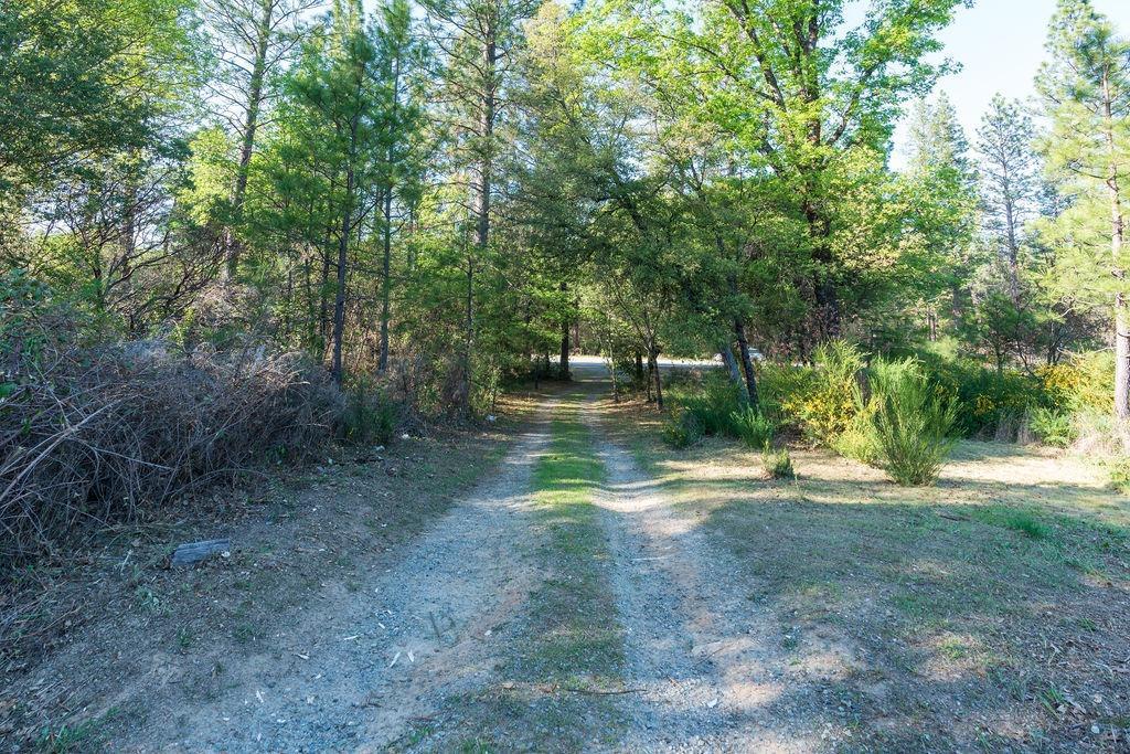 10985 Tyler Foote Road Nevada City, CA 95959 - Photo 27 of 27 a view of back yard