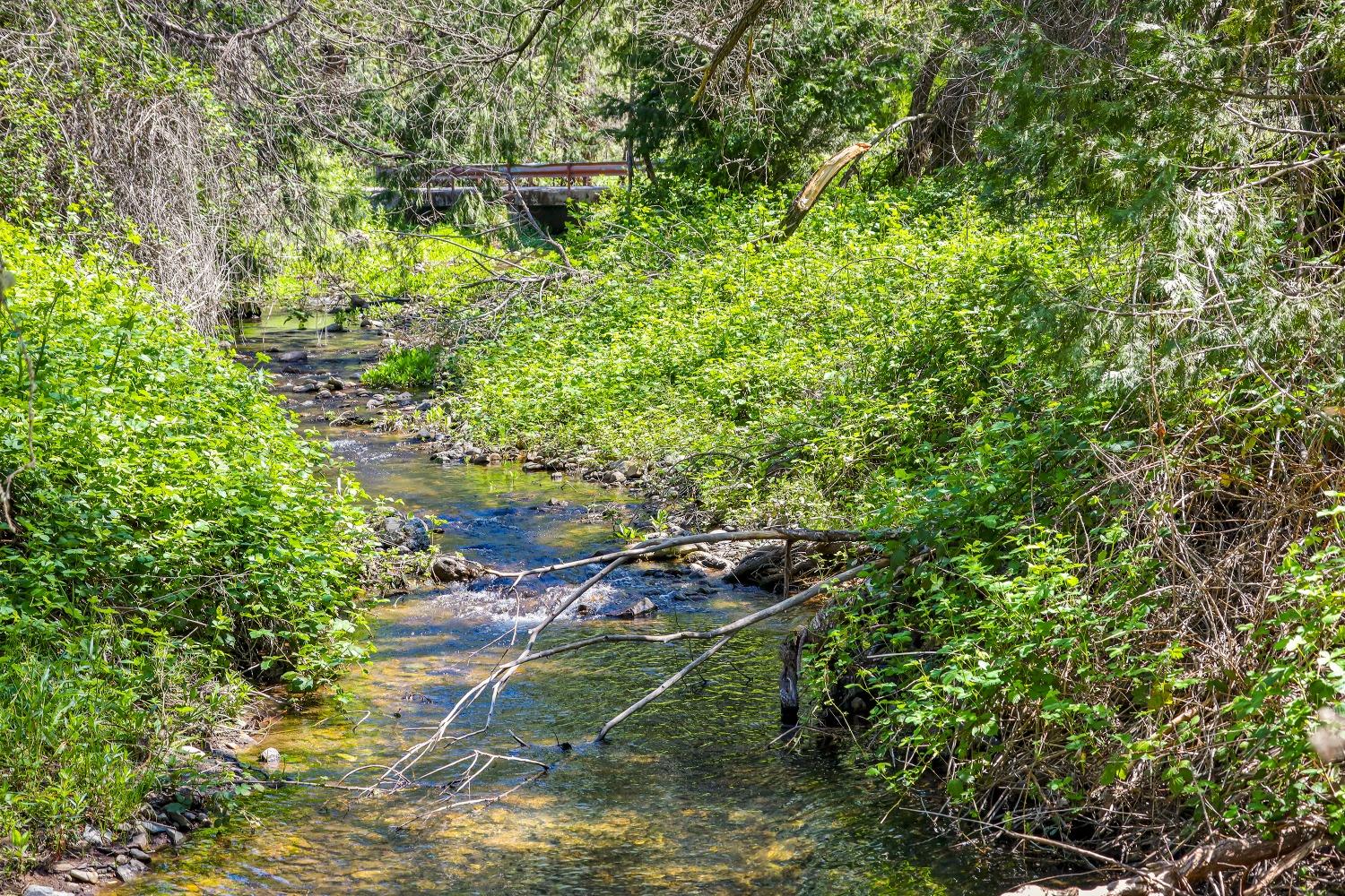 7744 Swiss Ranch Road Mountain Ranch, CA 95246 - Photo 36 of 64 THE CREEK FOLLOWS THE 3 PROPERTY LINE AND THE PROPERTY LINE IS IN THE MIDDLE OF THE CREEK. IT IS SHARED WITH THE NEIGHBOR AND IS FENCED ON ONE SIDE OR THE OTHER SO BOTH SIDES CAN USE THE CREEK FOR FUN AND ANIMALS.