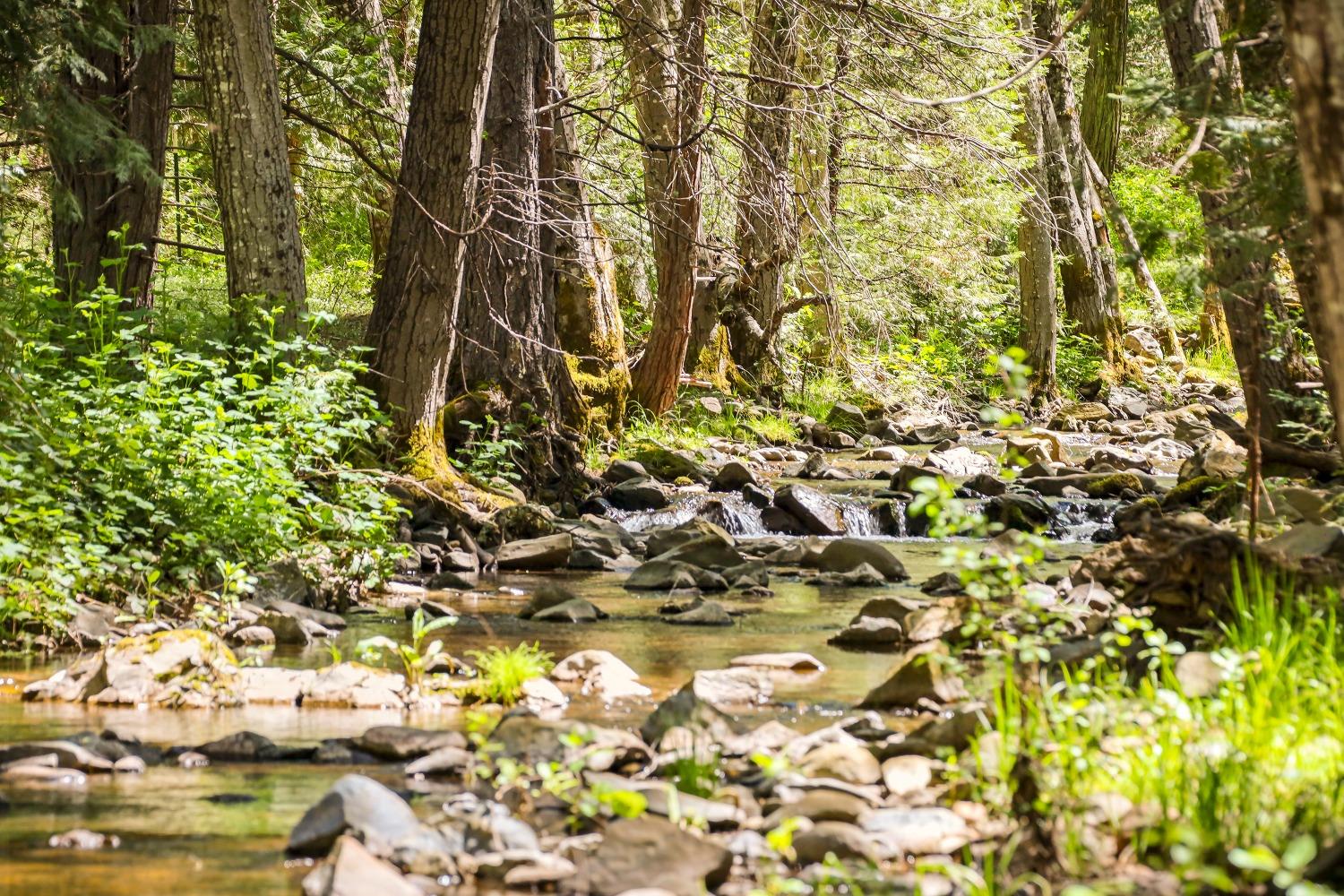 7744 Swiss Ranch Road Mountain Ranch, CA 95246 - Photo 40 of 64