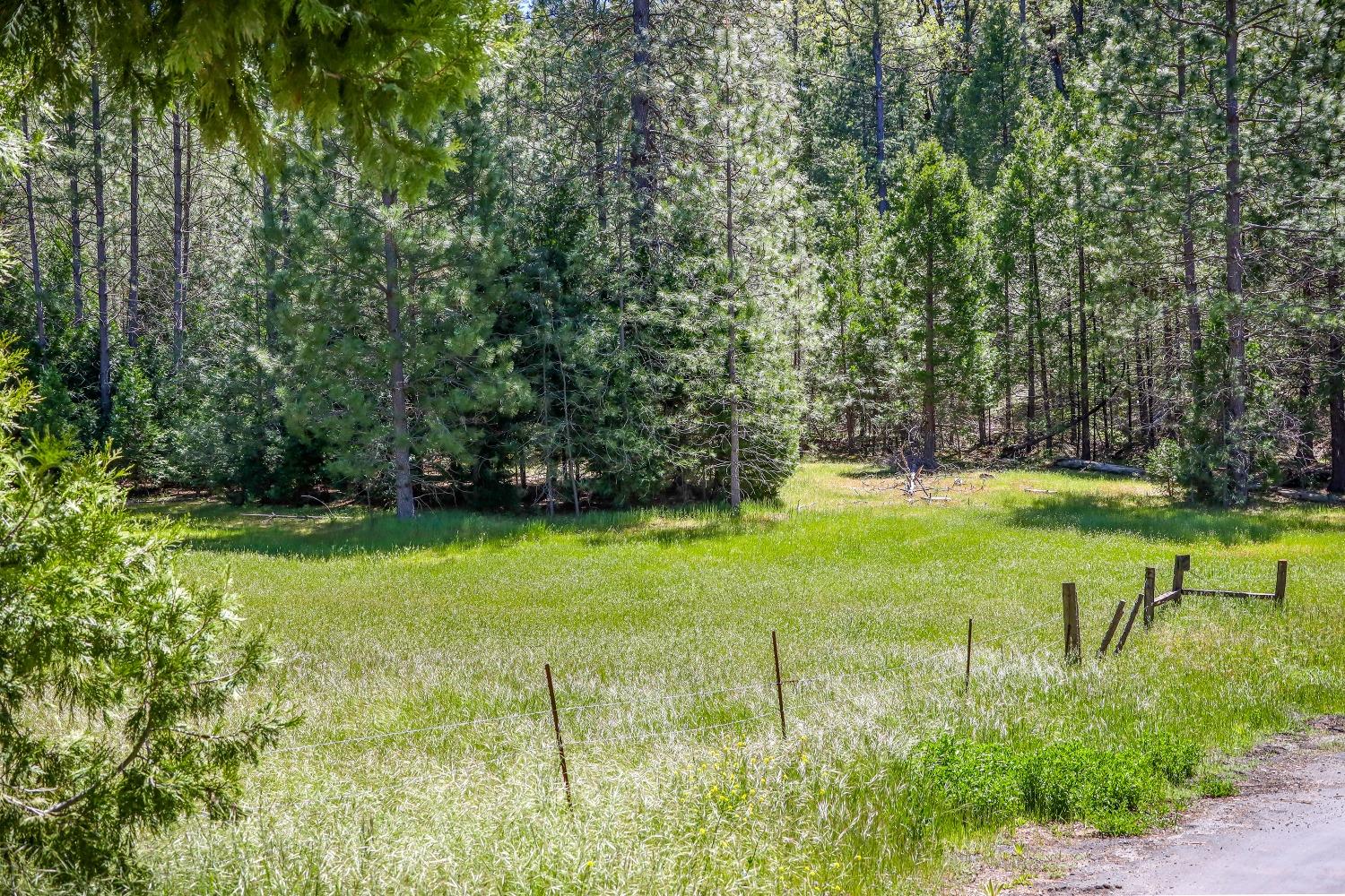 7744 Swiss Ranch Road Mountain Ranch, CA 95246 - Photo 45 of 64 a view of an outdoor space and a yard