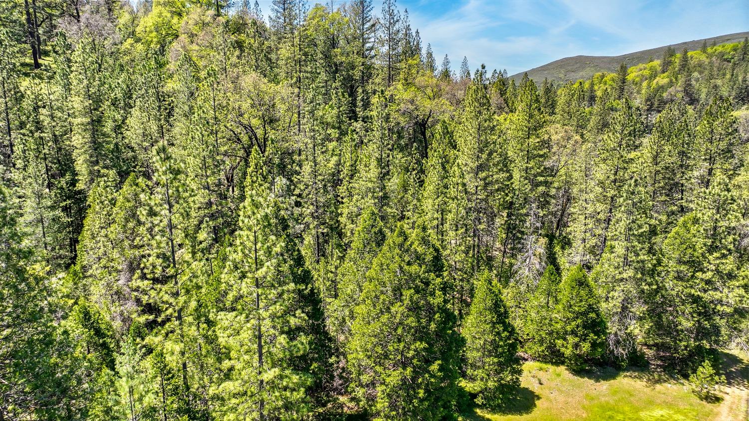 7744 Swiss Ranch Road Mountain Ranch, CA 95246 - Photo 49 of 64 a view of a city