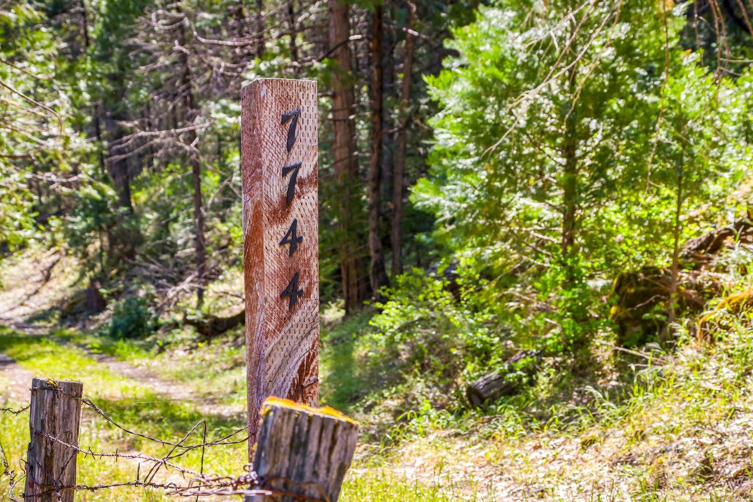 7744 Swiss Ranch Road Mountain Ranch, CA 95246 - Photo 5 of 64