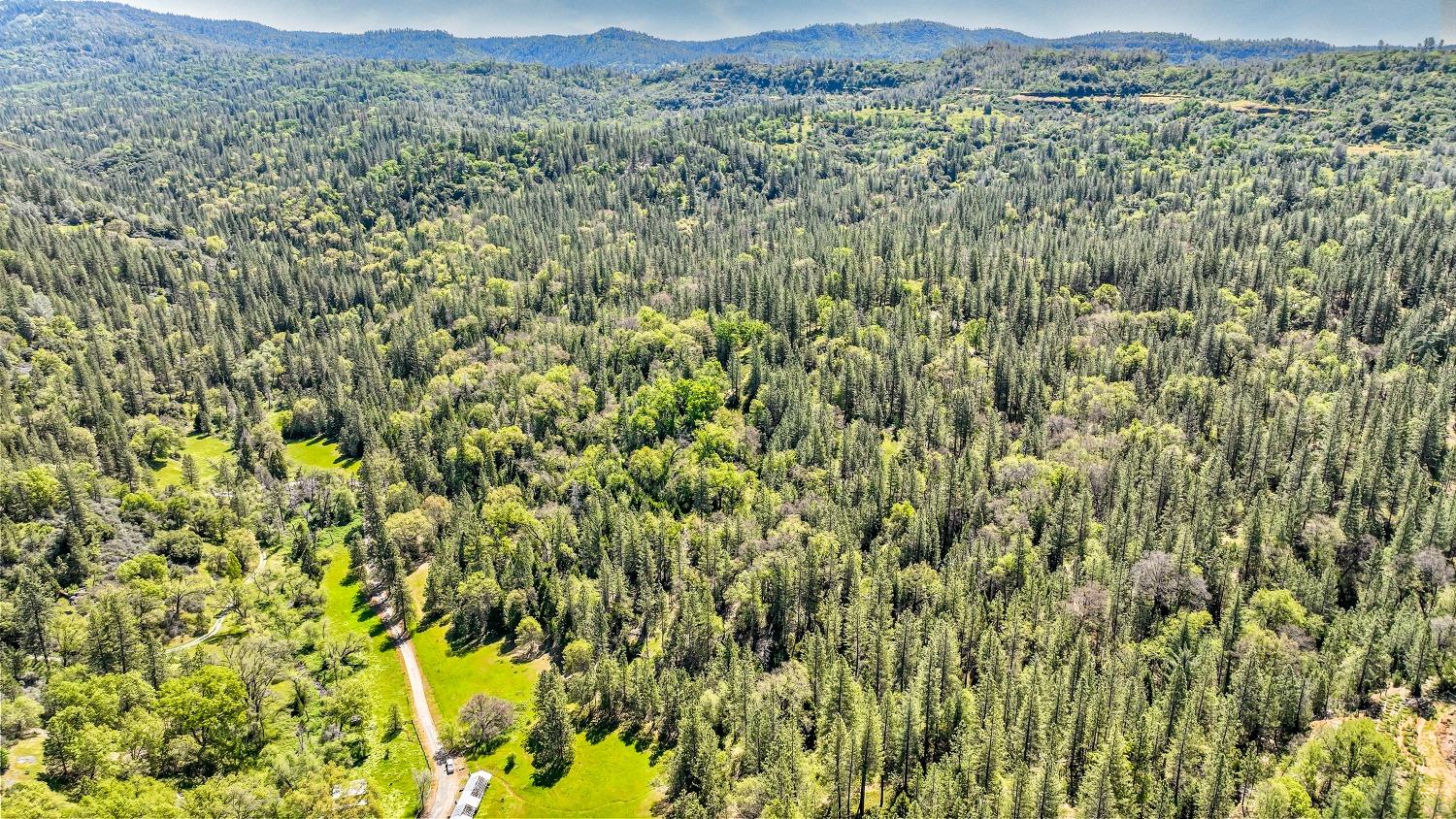 7744 Swiss Ranch Road Mountain Ranch, CA 95246 - Photo 59 of 64 a view of a lush green field