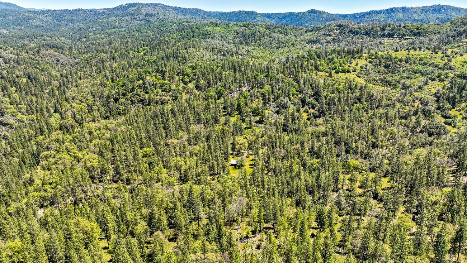 7744 Swiss Ranch Road Mountain Ranch, CA 95246 - Photo 60 of 64 a view of a lush green hillside and a mountain