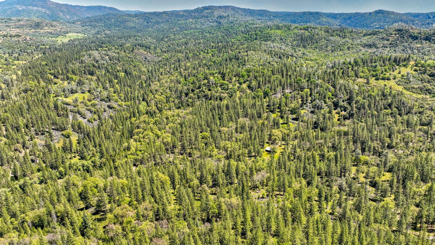 7744 Swiss Ranch Road Mountain Ranch, CA 95246 - Photo 61 of 64 a view of a lush green field with a mountain in the background