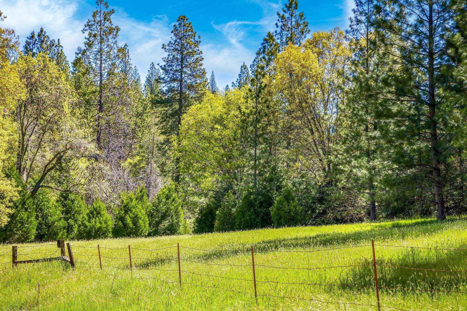 7744 Swiss Ranch Road Mountain Ranch, CA 95246 - Photo 64 of 64 a view of swimming pool from a yard