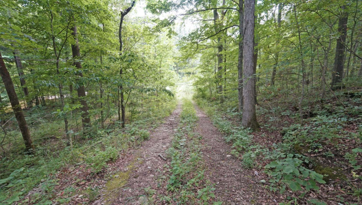 455 West County Road 650 South  