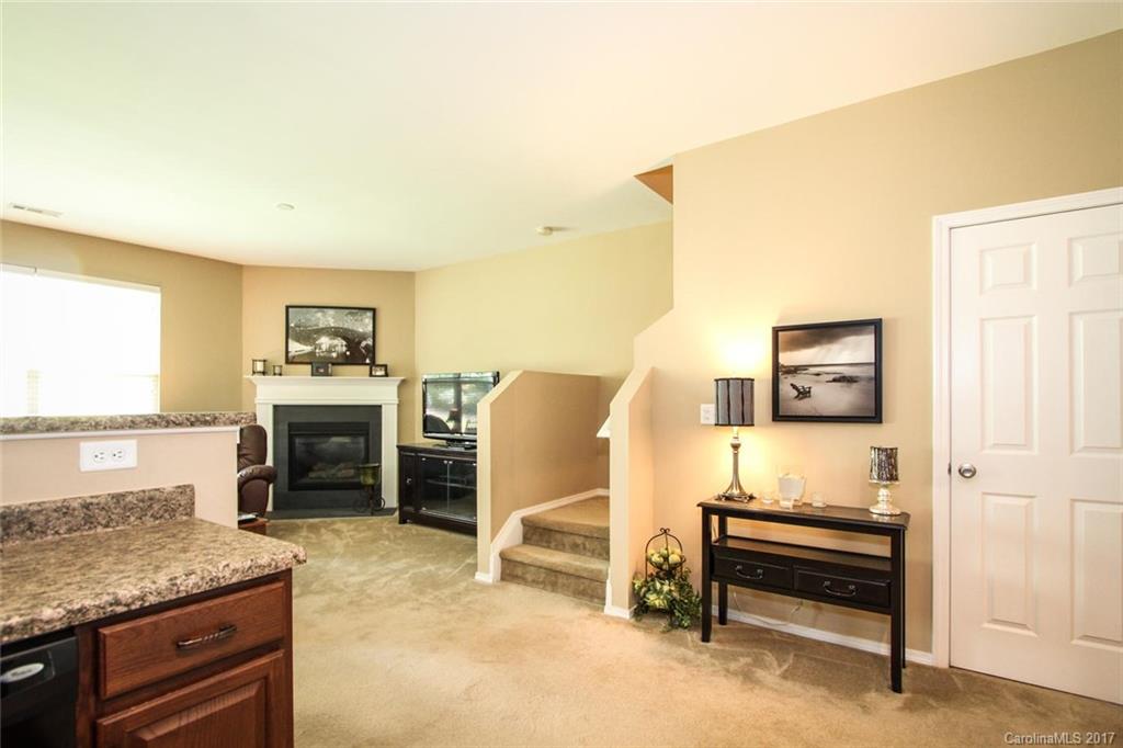 219 River Clay Road Fort Mill, SC 29708 - Photo 16 of 24 a living room with furniture and a fireplace