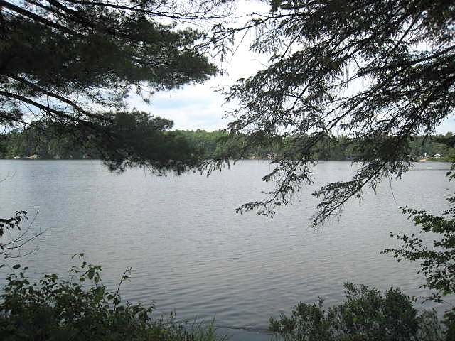 3309 Hancock Lake Road Harshaw, WI 54529 - Photo 2 of 20 Gallery Image 2