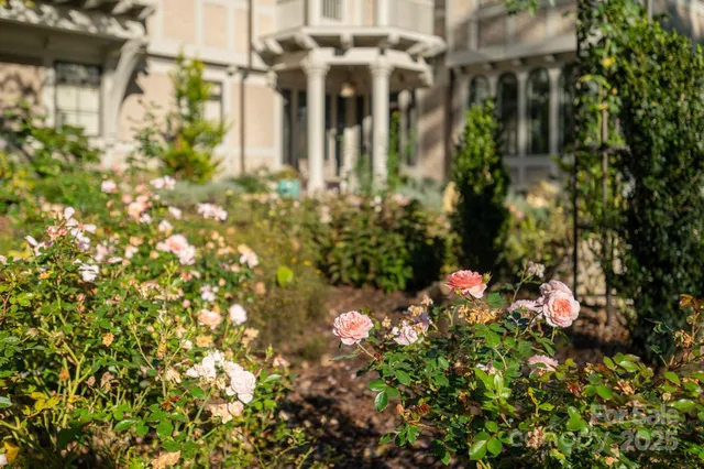 a view of a bunch of flowers
