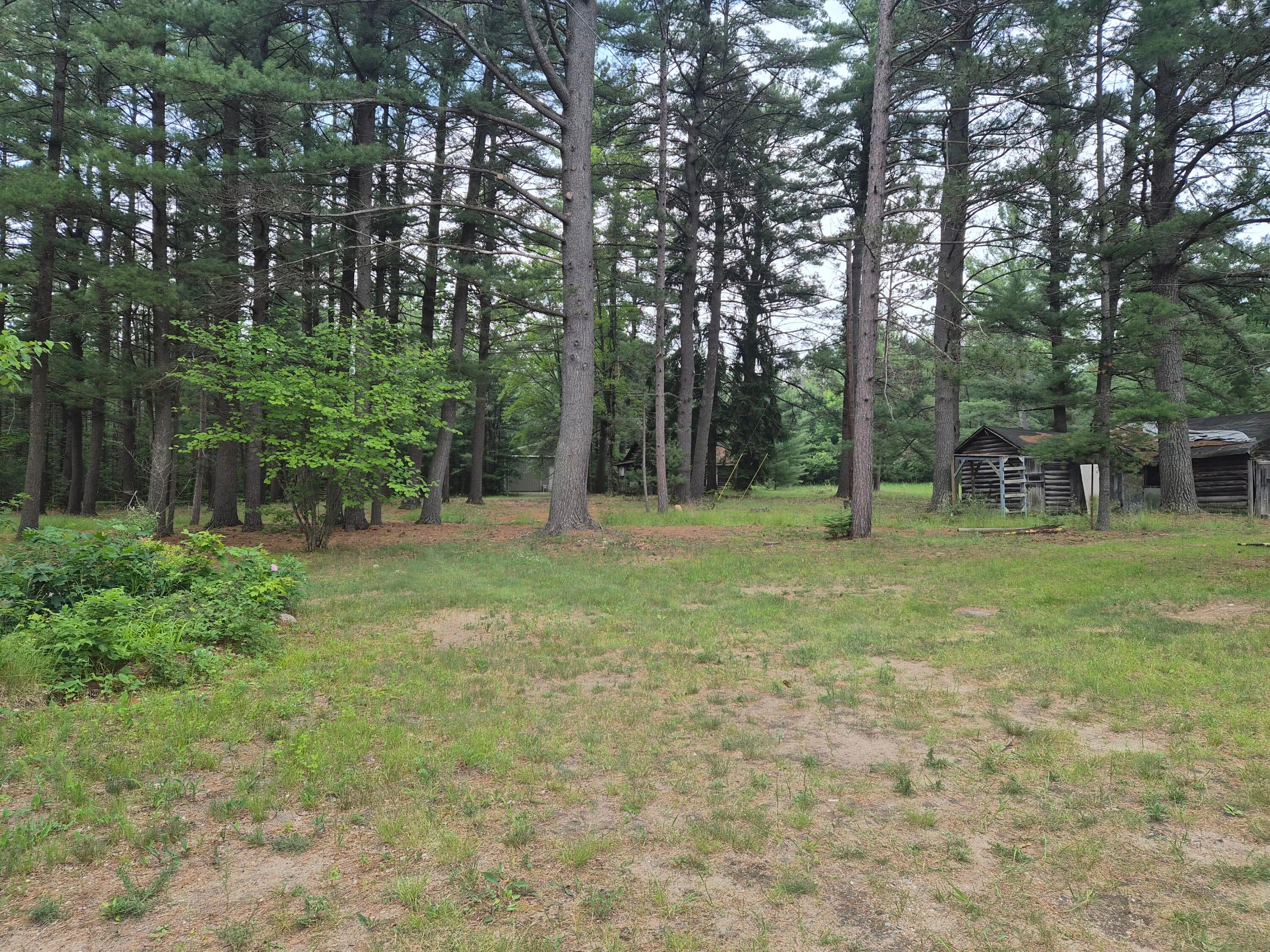 10831 South Grayling Road Roscommon, MI 48653 - Photo 12 of 168 Gallery Image 12