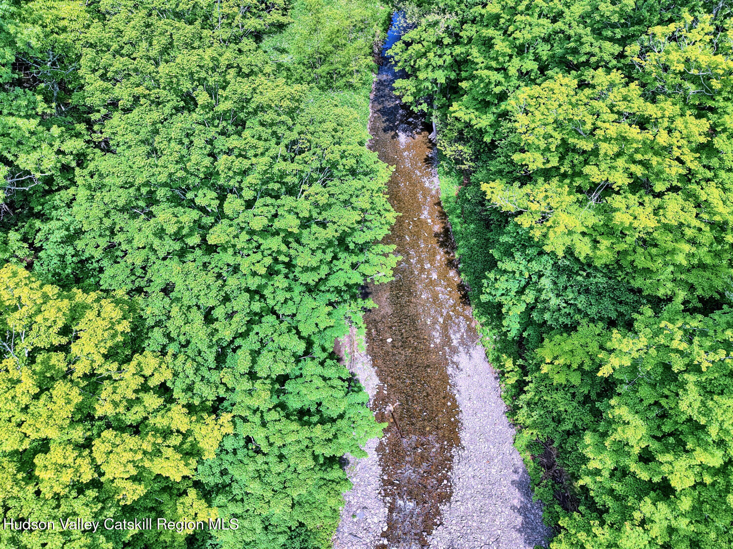 49 County Rte 39 Cairo, NY 12473 - Photo 106 of 114 a view of a garden with plants