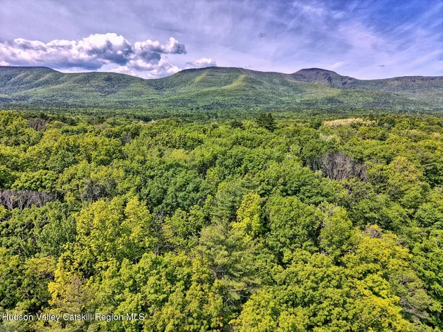 $499,900 | 49 County Rte 39, Cairo, NY 12473