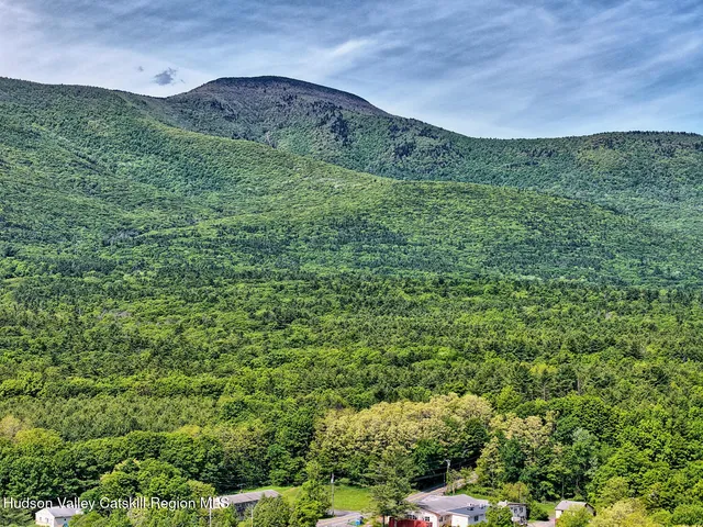 $499,900 | 49 County Rte 39, Cairo, NY 12473