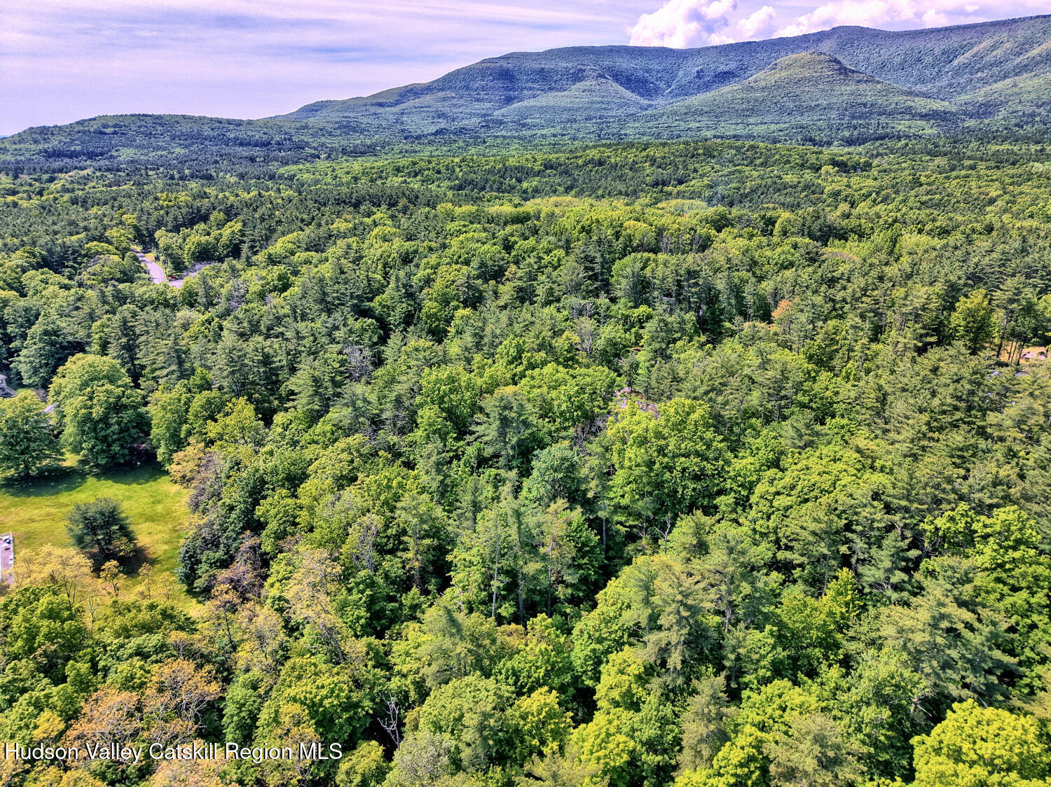 49 County Rte 39 Cairo, NY 12473 - Photo 114 of 114 a view of a lush green hillside and a houses