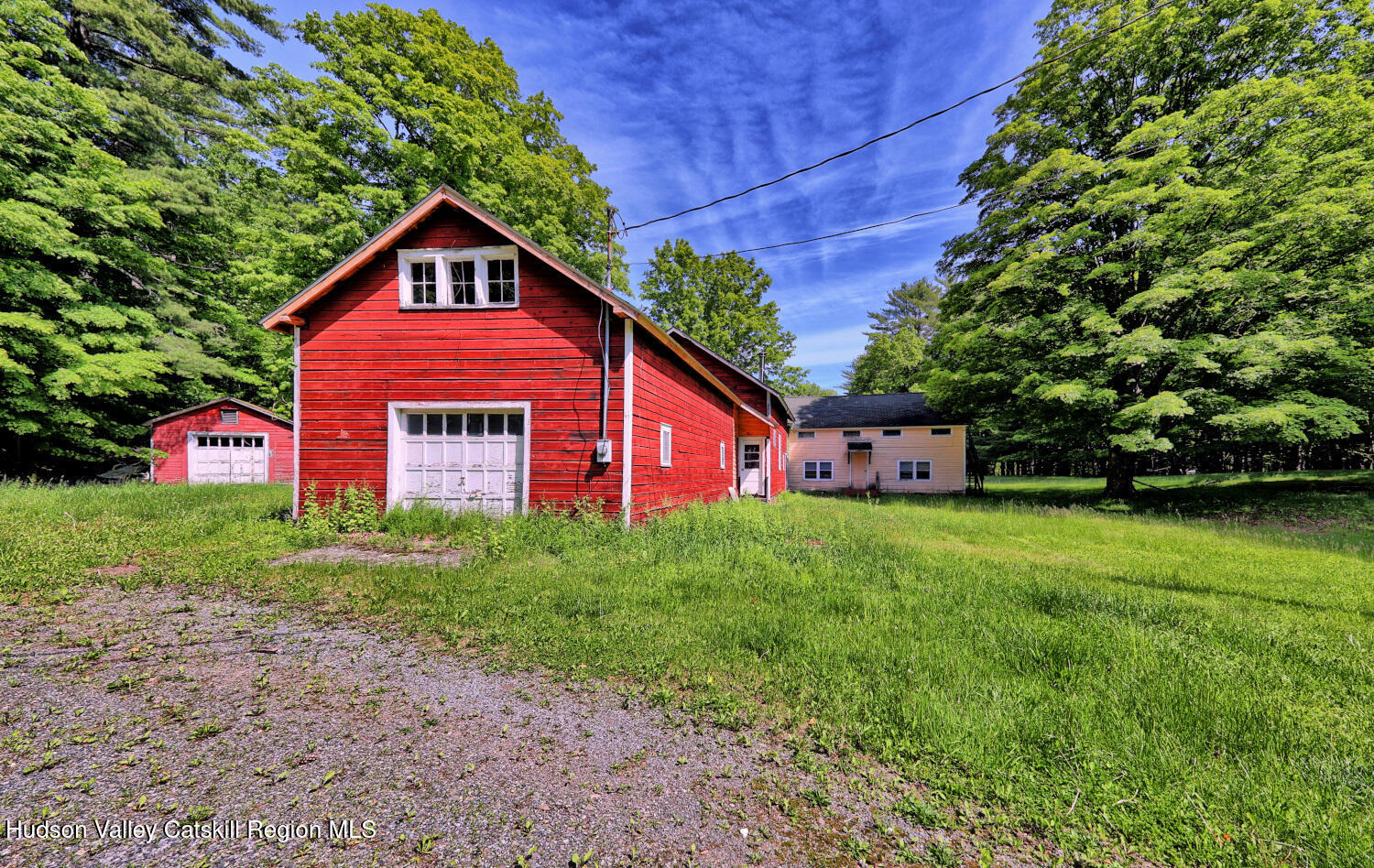 49 County Rte 39 Cairo, NY 12473 - Photo 16 of 114 a view of a yard with plants and a trees