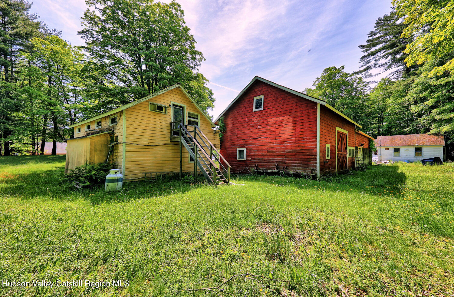 49 County Rte 39 Cairo, NY 12473 - Photo 23 of 114 a view of backyard with potted plants and a large tree