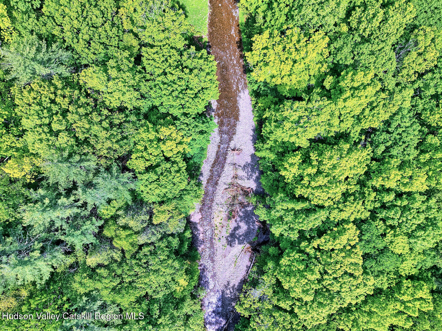 49 County Rte 39 Cairo, NY 12473 - Photo 27 of 114 9s