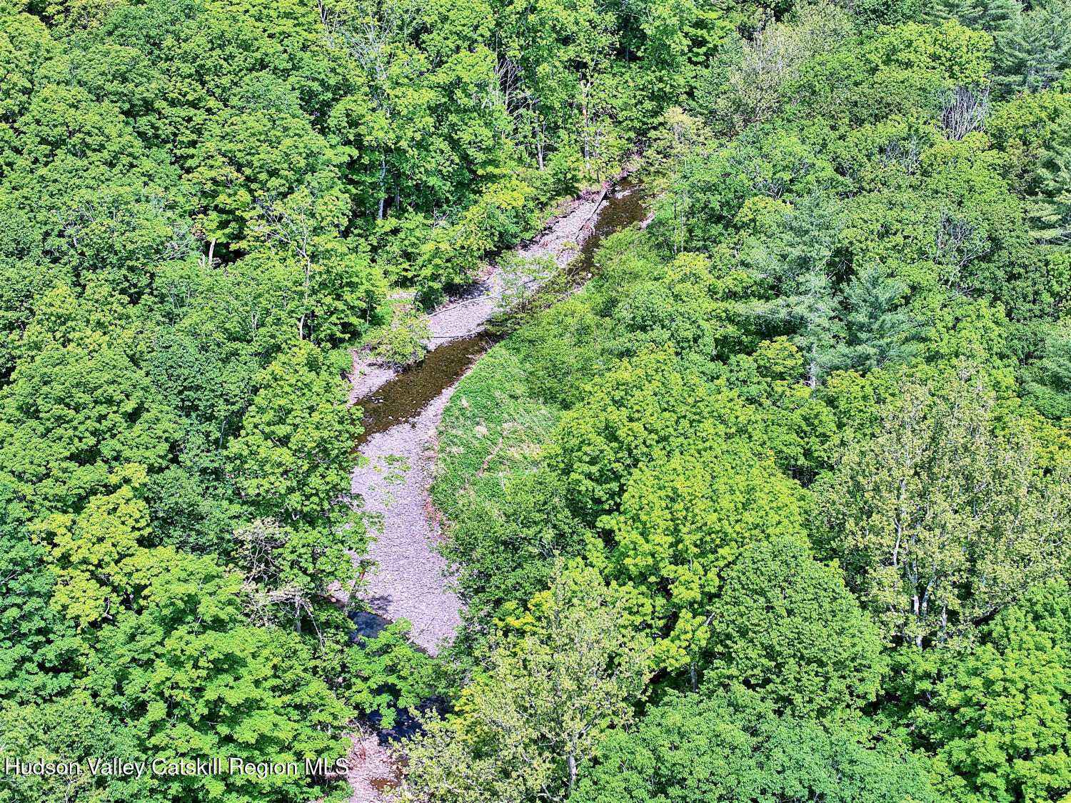 49 County Rte 39 Cairo, NY 12473 - Photo 28 of 114 a close up of a plant in a garden