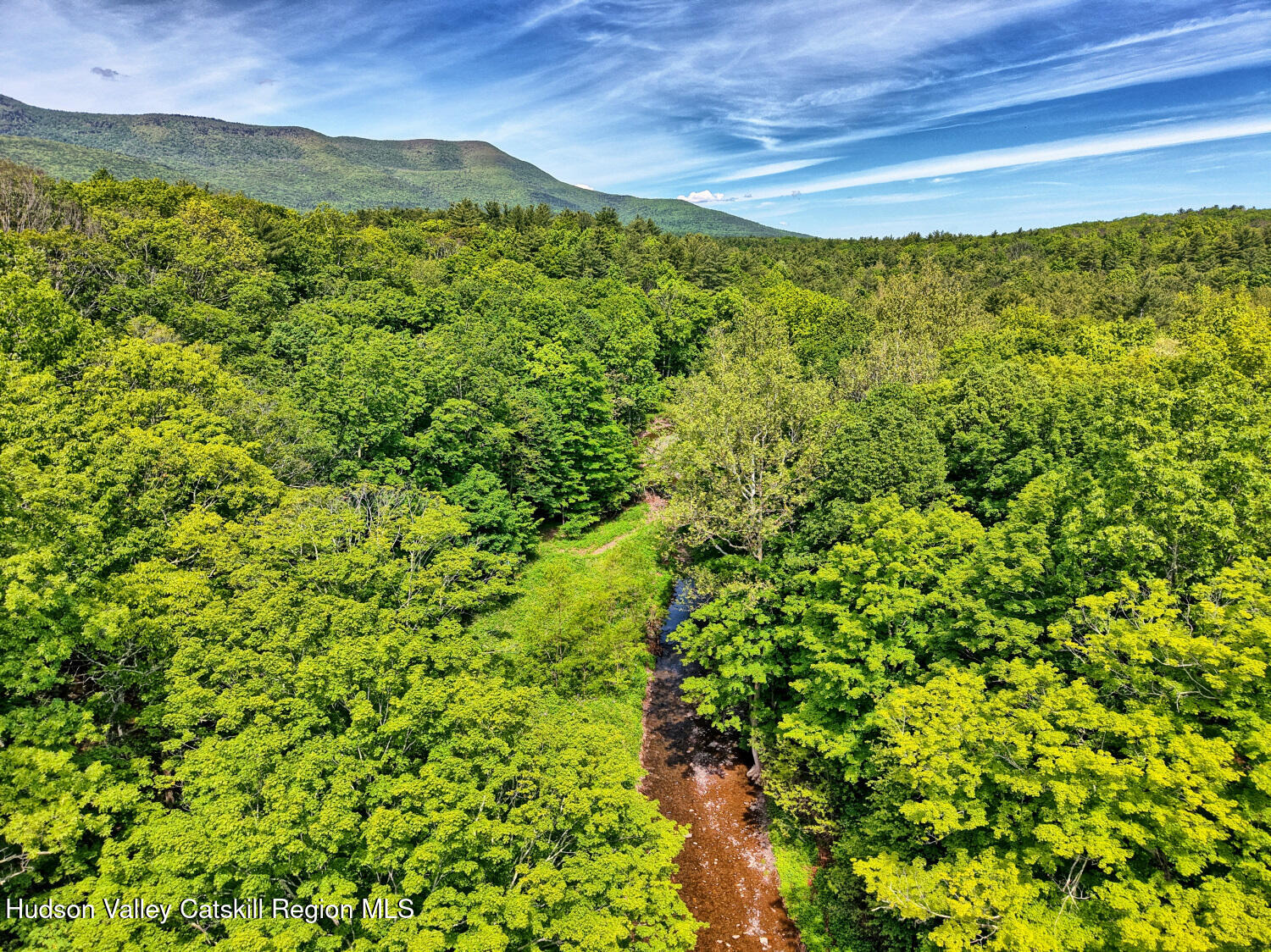 49 County Rte 39 Cairo, NY 12473 - Photo 30 of 114 a view of a green field with lots of bushes