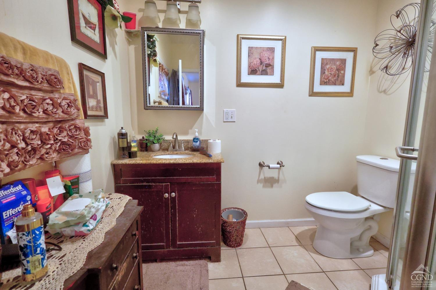 49 County Rte 39 Cairo, NY 12473 - Photo 65 of 114 Photo 66