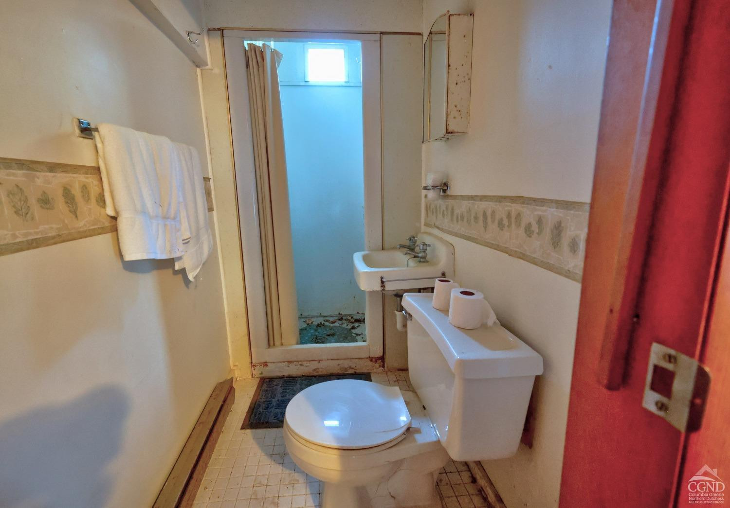 49 County Rte 39 Cairo, NY 12473 - Photo 77 of 114 Photo 79