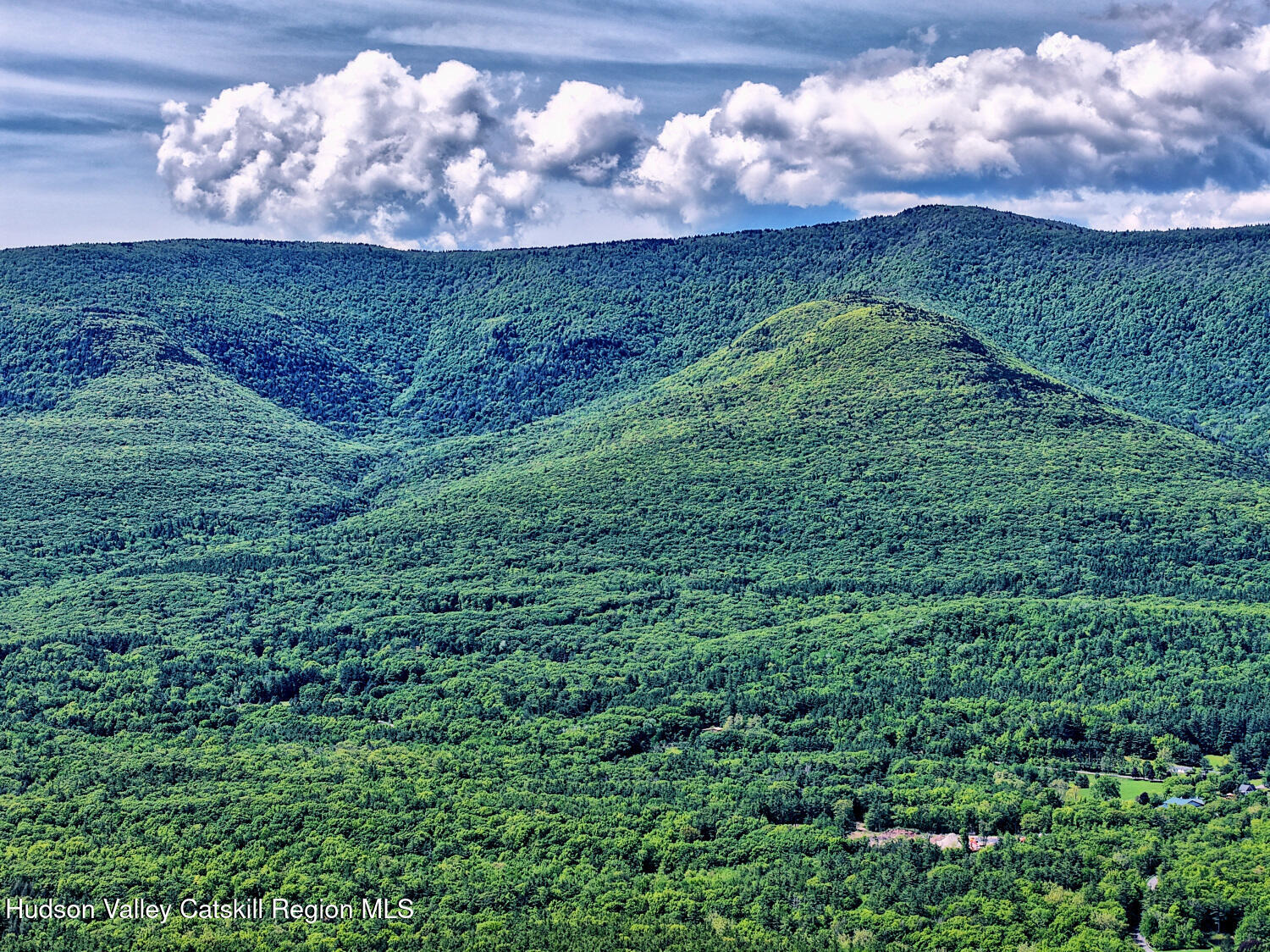 49 County Rte 39 Cairo, NY 12473 - Photo 83 of 114 9zzw