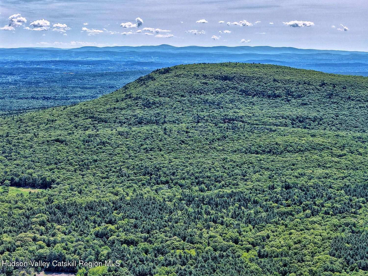 49 County Rte 39 Cairo, NY 12473 - Photo 84 of 114 a view of a large yard and a mountain