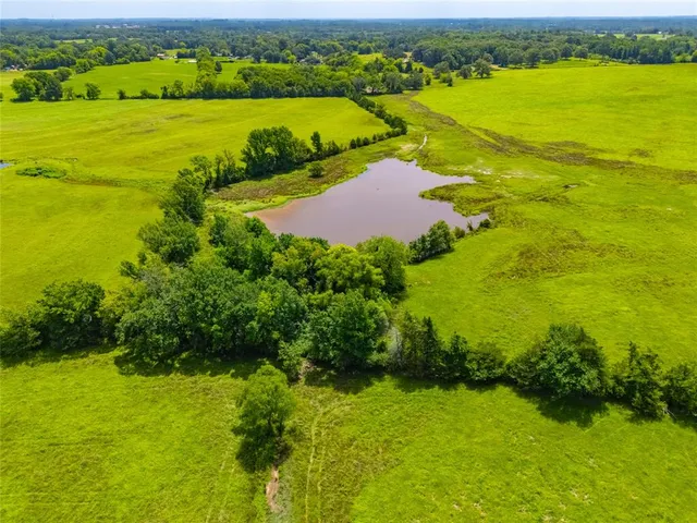 a view of an ocean from a yard