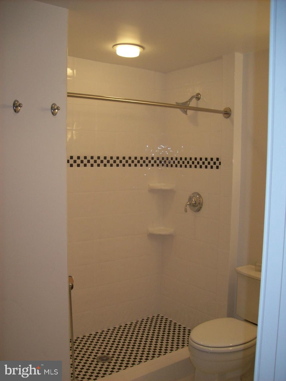 1740 Park Road Northwest Washington, DC 20010 - Photo 23 of 30 Shower in Garden Apartment