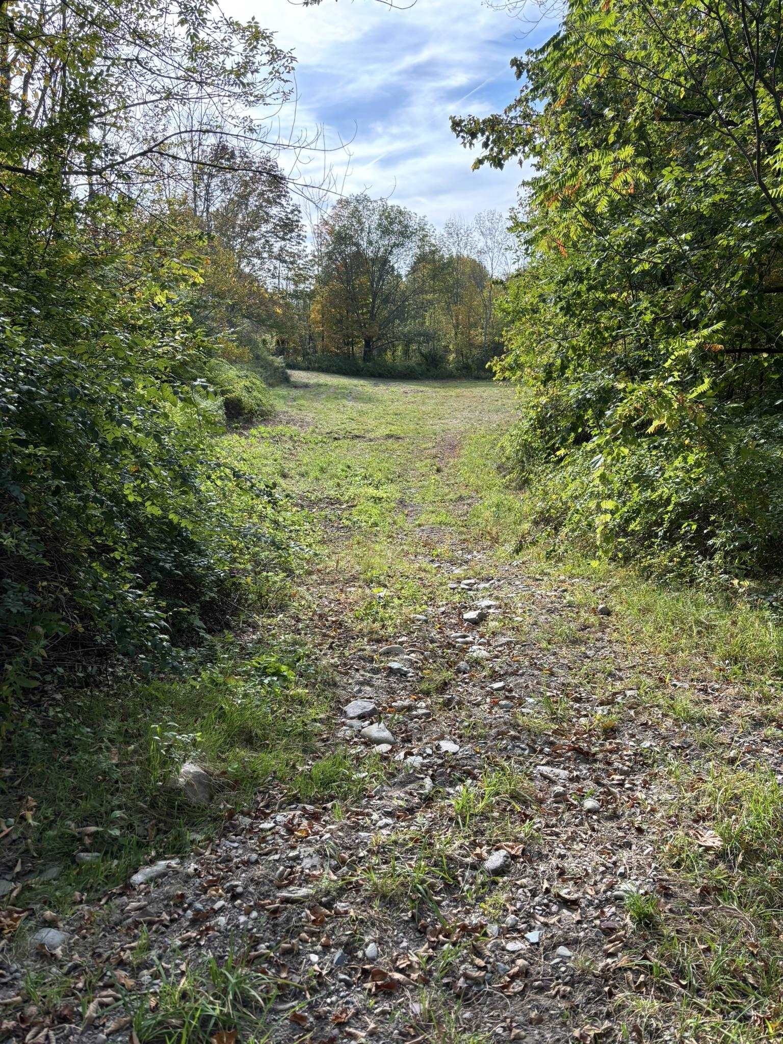 942 Rt 315 West Rupert, VT 05776 - Photo 14 of 17