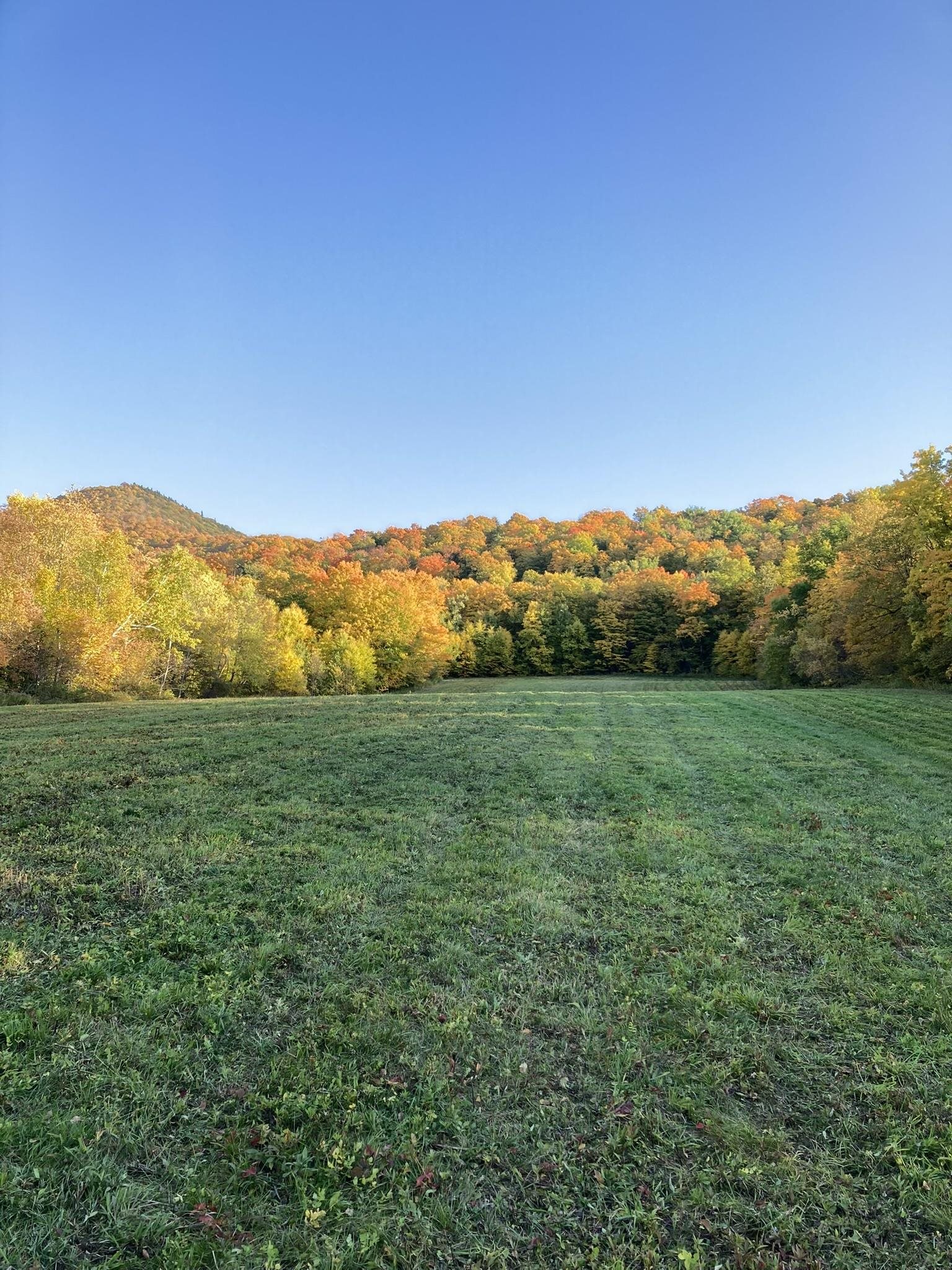 942 Rt 315 West Rupert, VT 05776 - Photo 5 of 17