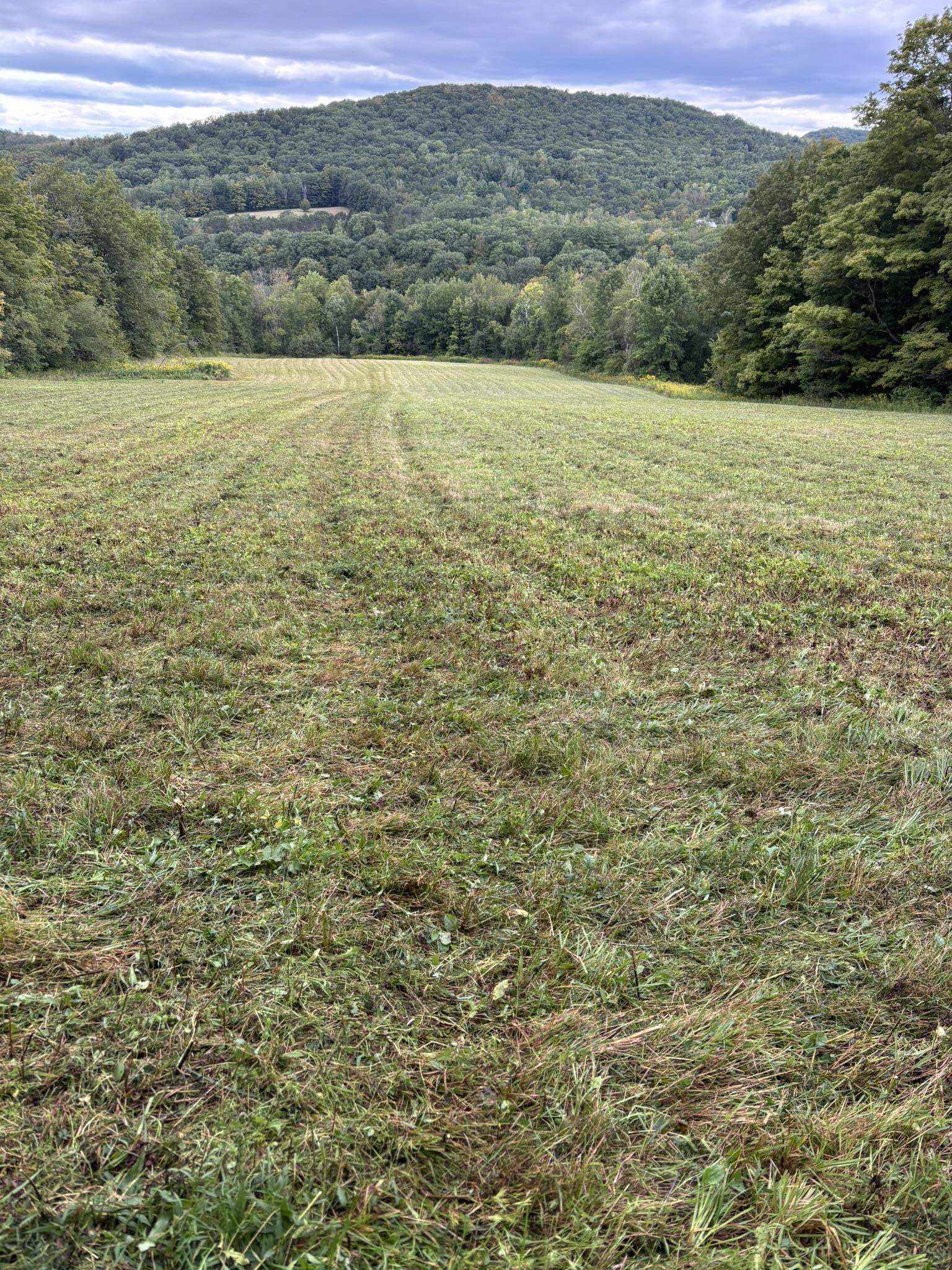 942 Rt 315 West Rupert, VT 05776 - Photo 6 of 17