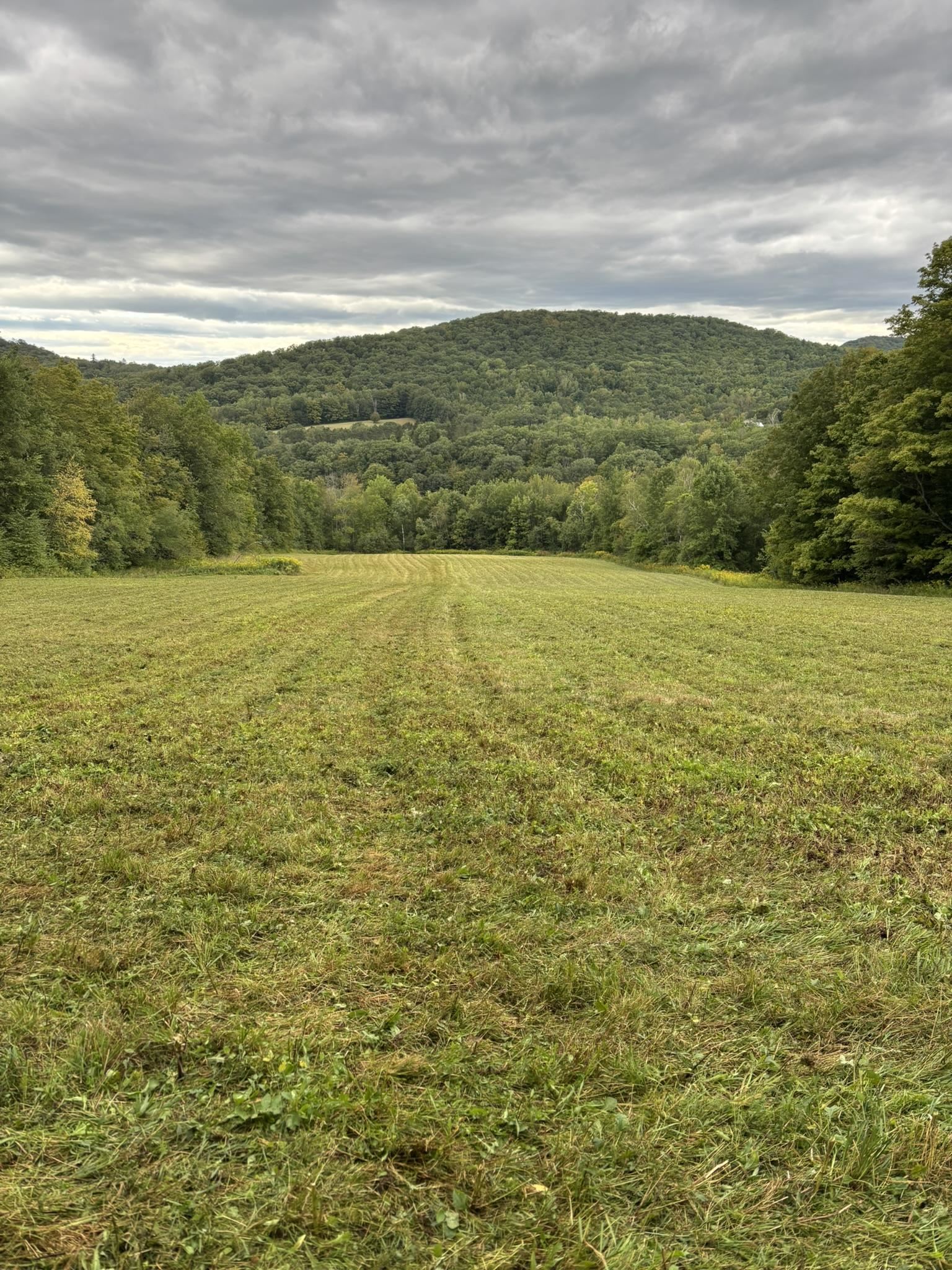 942 Rt 315 West Rupert, VT 05776 - Photo 7 of 17