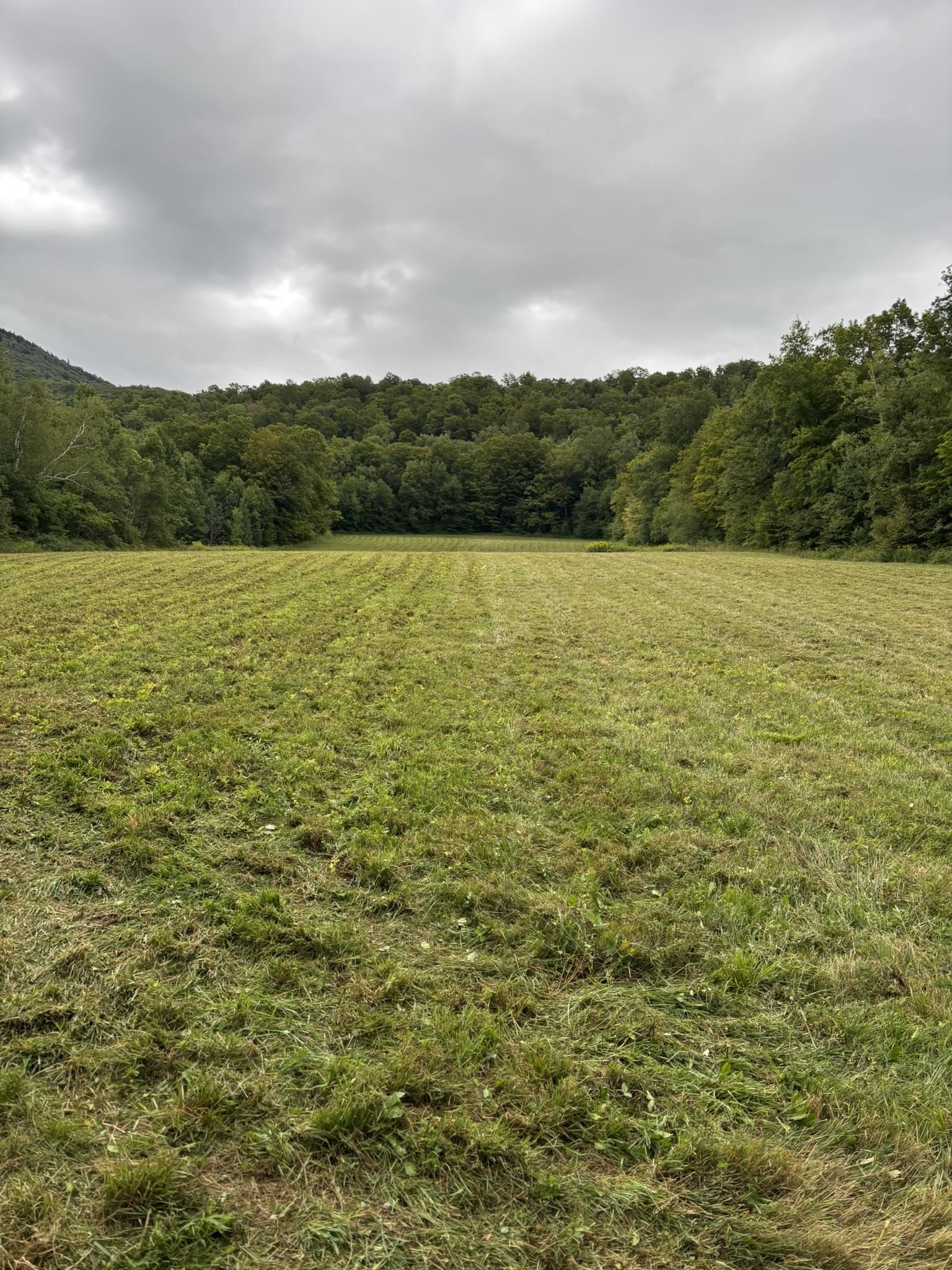 942 Rt 315 West Rupert, VT 05776 - Photo 8 of 17